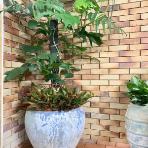 Gạch cổ ốp , lát , lát sân vườn KT 230x65x14mm